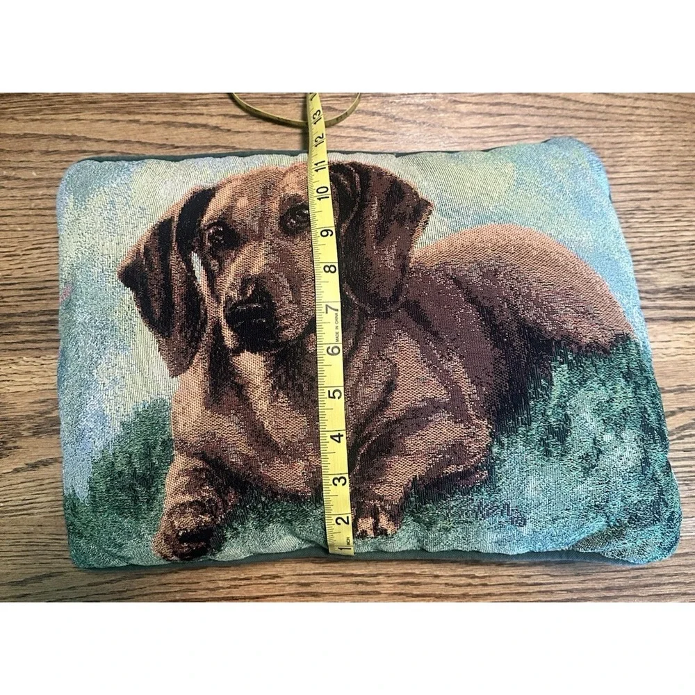 Linda Picken this dachshund